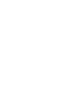 logo-devi-enterprises-1